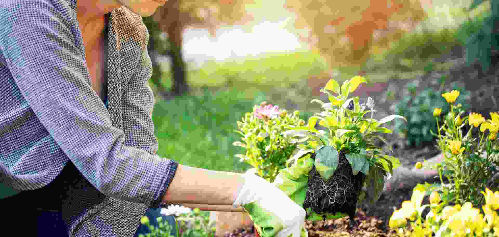 Why Crop Rotation Is Important?