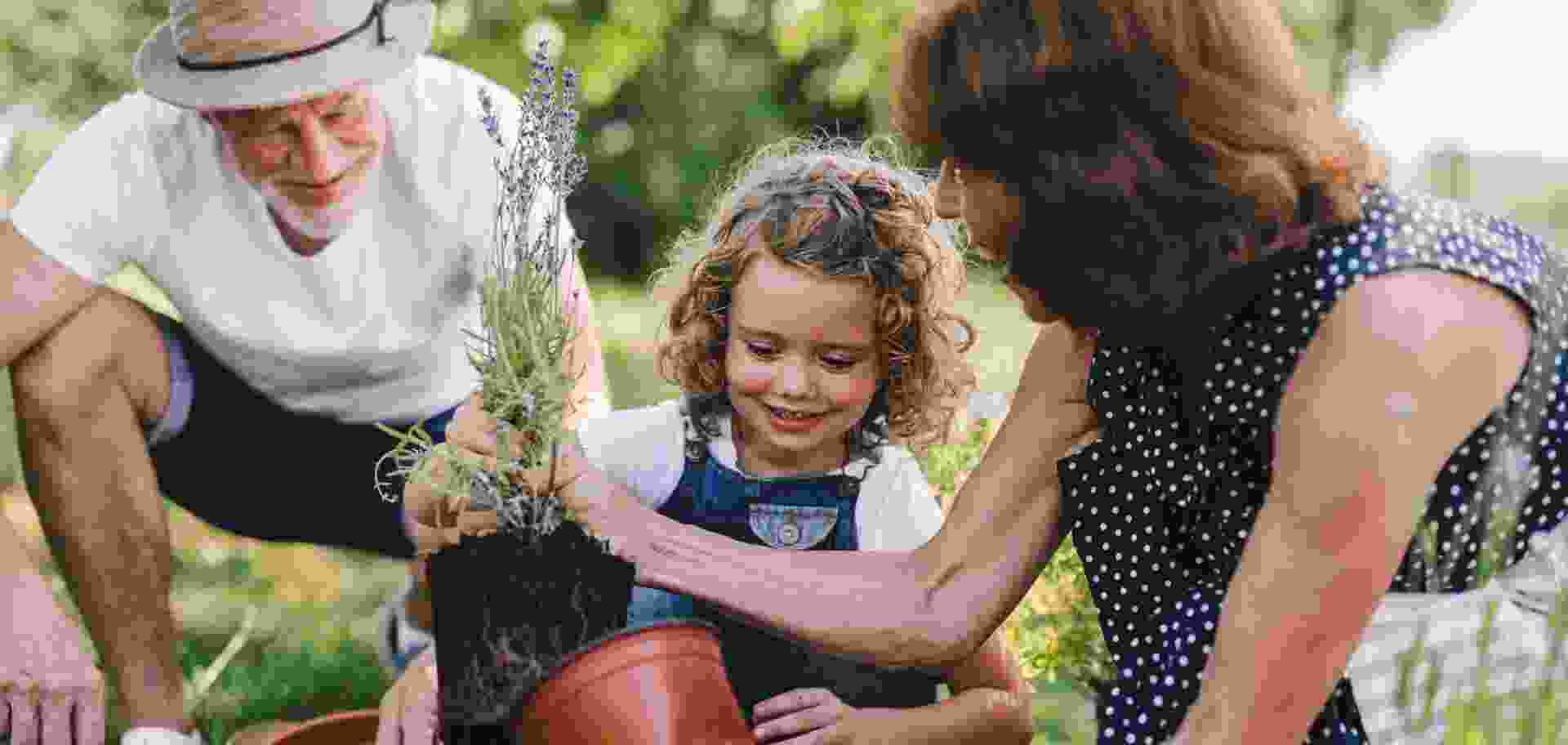 The Future Of Soil-Free Gardening