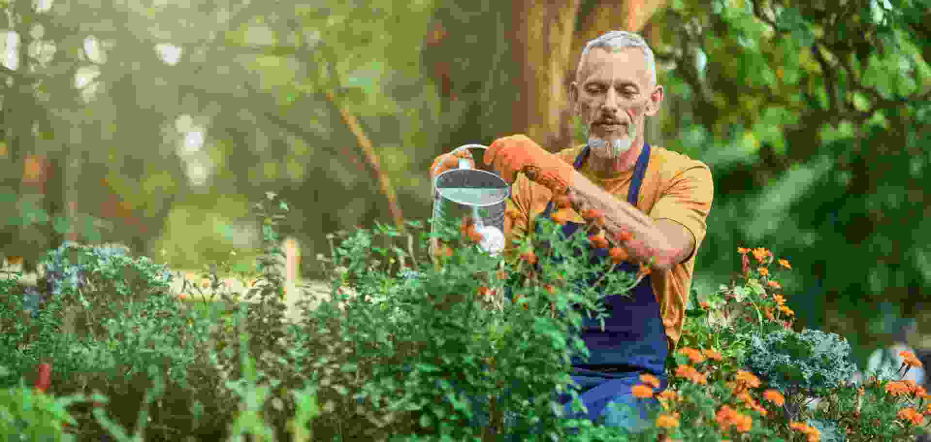 Low-Maintenance Garden Tips